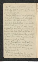Seite 4, Tagebuch "Hallstatt" (NHMW-PRAE-BBB-90)